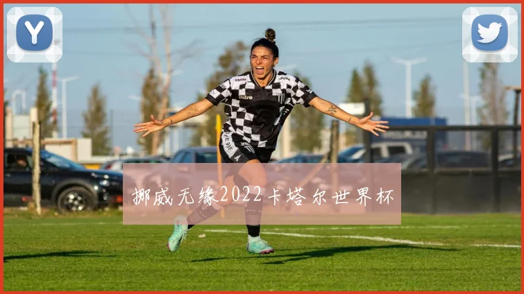 挪威无缘2022卡塔尔世界杯