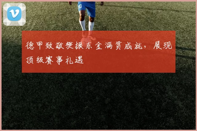 德甲致敬樊振东金满贯成就，展现顶级赛事礼遇