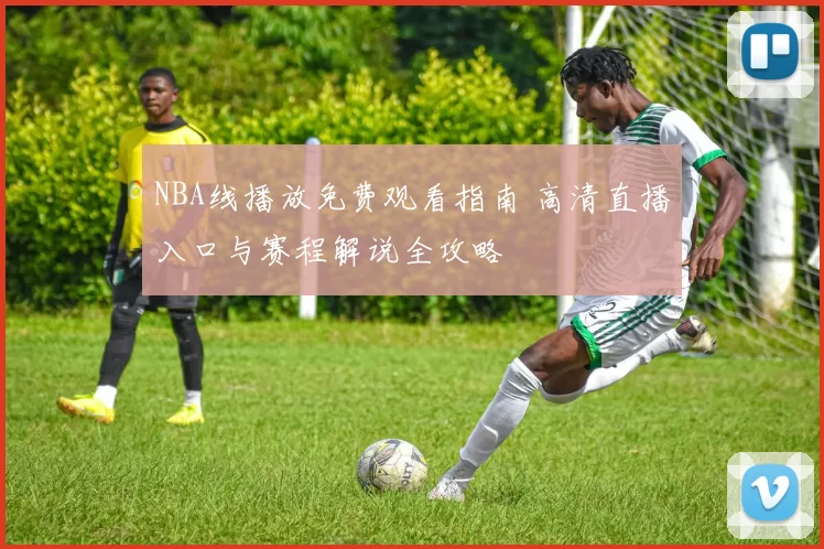 NBA线播放免费观看指南 高清直播入口与赛程解说全攻略