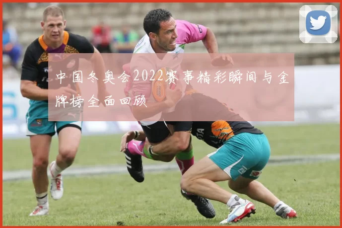 中国冬奥会2022赛事精彩瞬间与金牌榜全面回顾
